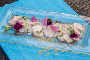 WEB FLORIDA WAHOO CRUDO 2